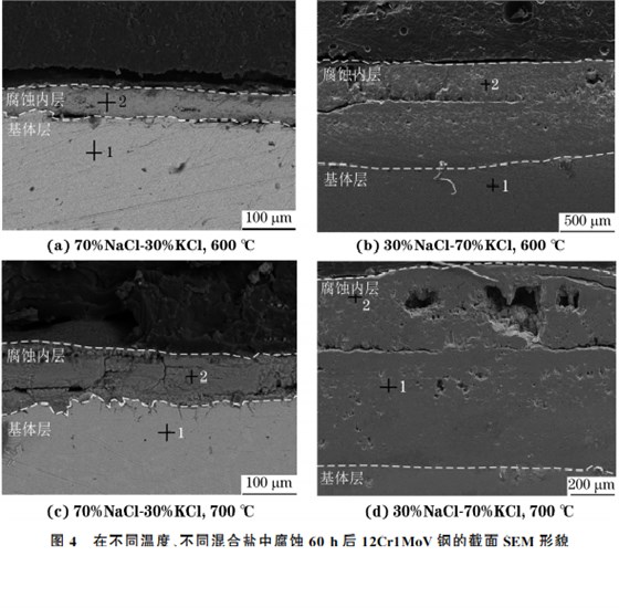 在不同溫度、不同混合鹽中腐蝕６０h后１２Cr１MoV鋼的截面SEM 形貌