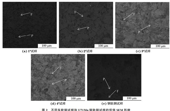圖2 不同車(chē)輪鋼試樣和 U71Mn鋼軌鋼試樣的低倍SEM 形貌 圖2 不同車(chē)輪鋼試樣和 U71Mn鋼軌鋼試樣的低倍SEM 形貌