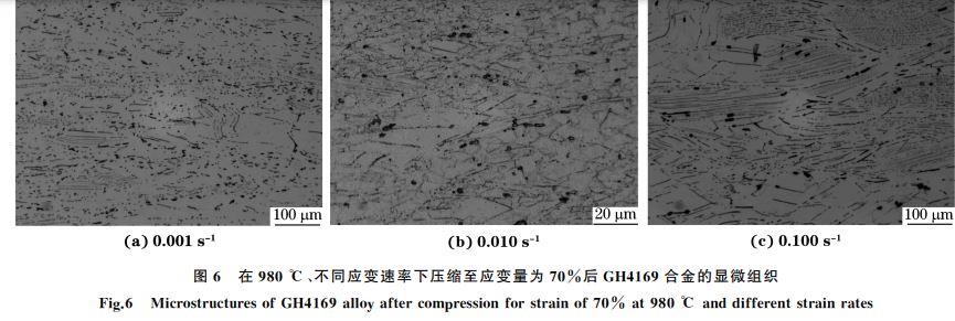 圖６ 在９８０ ℃、不同應(yīng)變速率下壓縮至應(yīng)變量為７０％