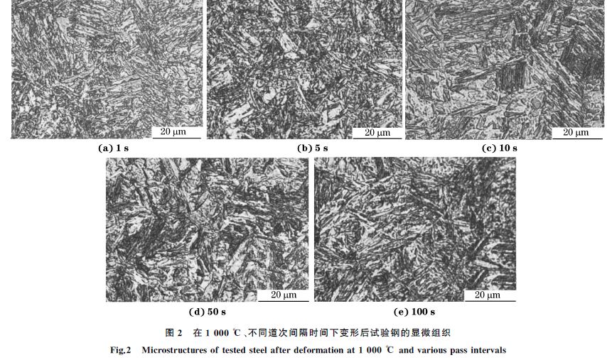 圖２ 在１０００ ℃、不同道次間隔時間下變形后試驗(yàn)鋼的顯微組織